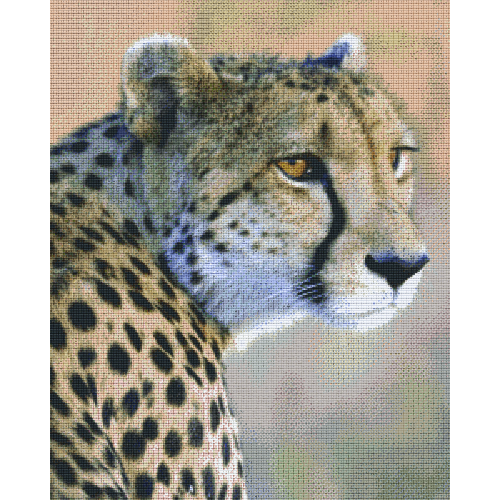 Gepard 836028